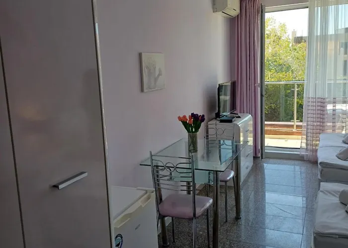 Admiral Plaza Premium Apartment *